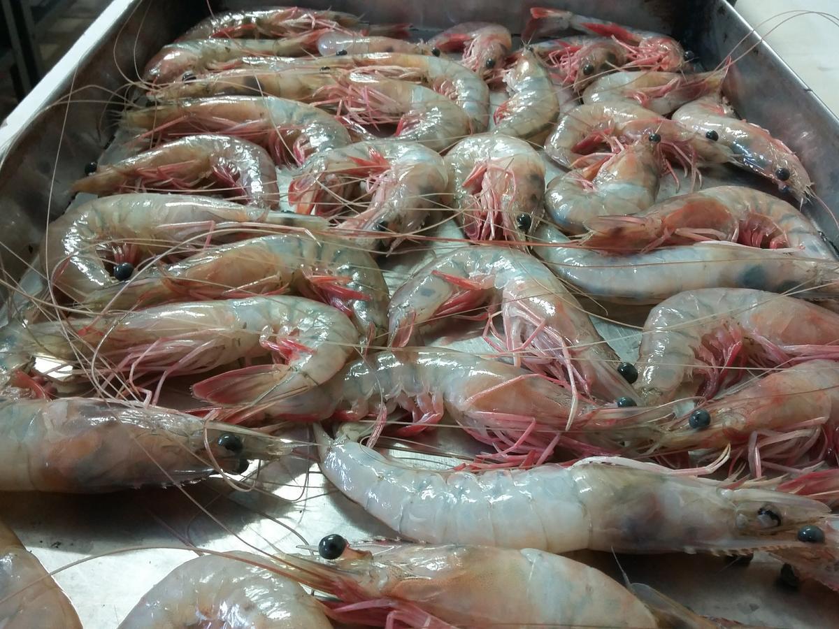 Pousada Chef Brasil Барра-Веля Екстер'єр фото